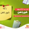 دانلود پروژه شور ذهن رایگان