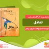 دانلود کتاب تعادل(داستان ایمان، خانواده و زندگی در یک خط) نیک والندا دیوید ریتس