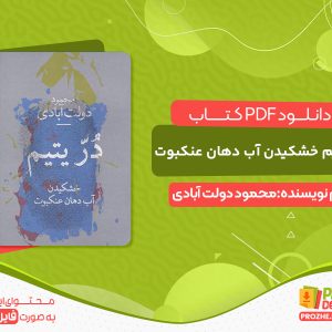 دانلود کتاب در یتیم اثر محمود دولت آبادی