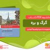 دانلود کتاب گرگ و بره سیدابراهیم آخوندی