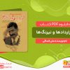 دانلود کتاب قراردادها و نیرنگ‌ها (زندگی و سرنوشت حسین کامل) علی الساقی